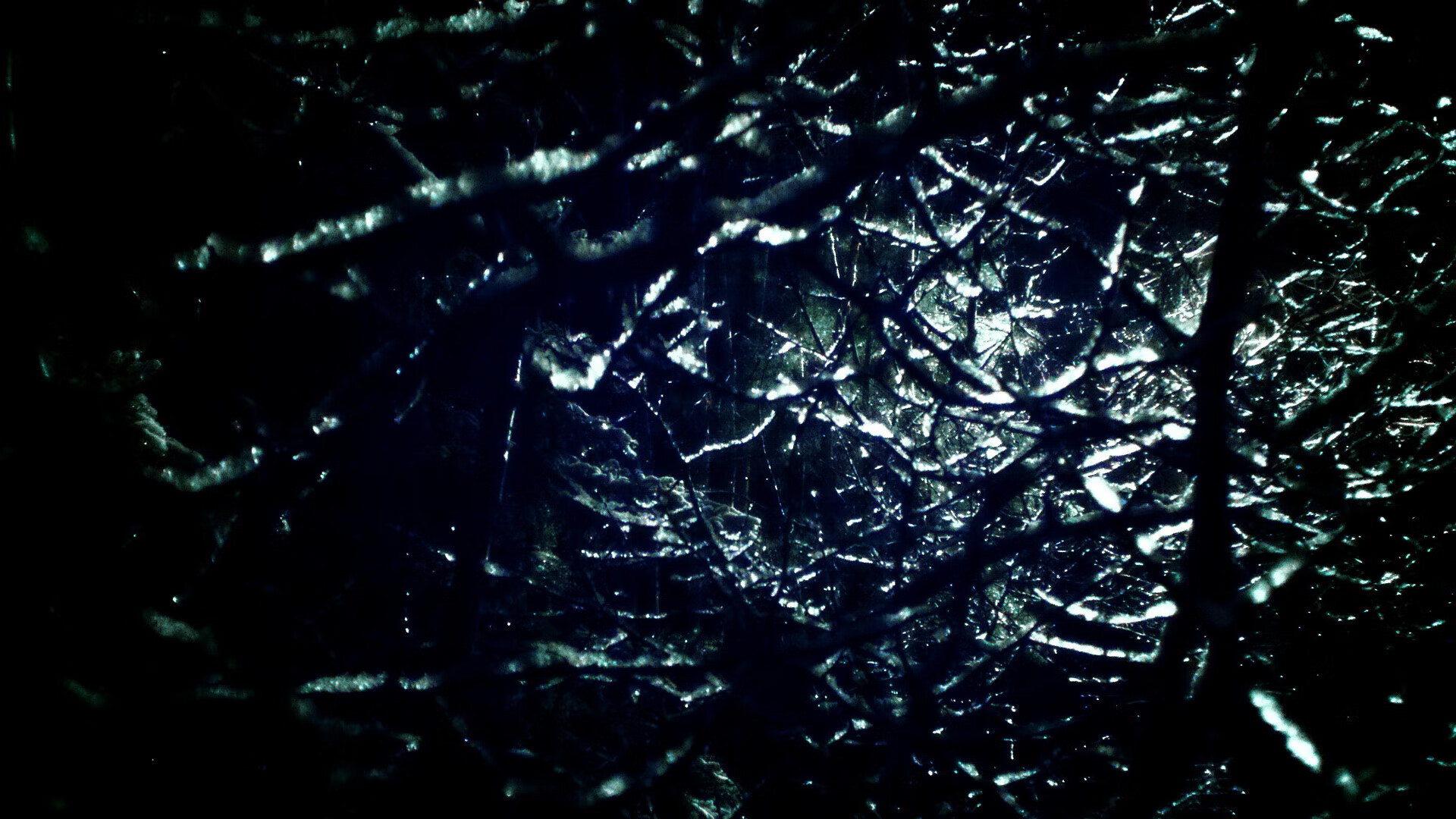 WRC赛事现场:氛围火爆燃爆场面,wrc 2022