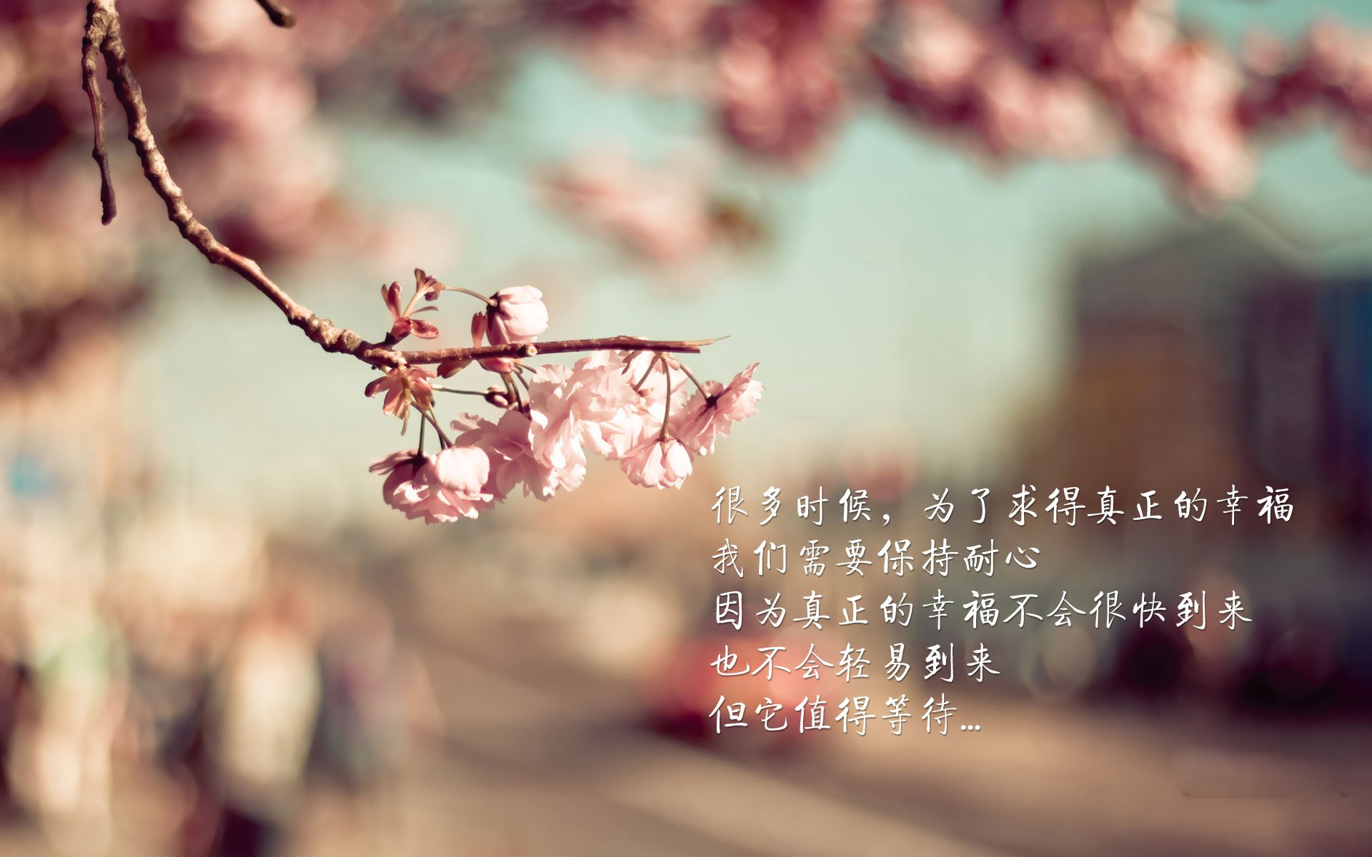 Kaiyun官方登录入口-_梦想体育嘉年华：全民参与的欢乐盛典_，体育梦之队