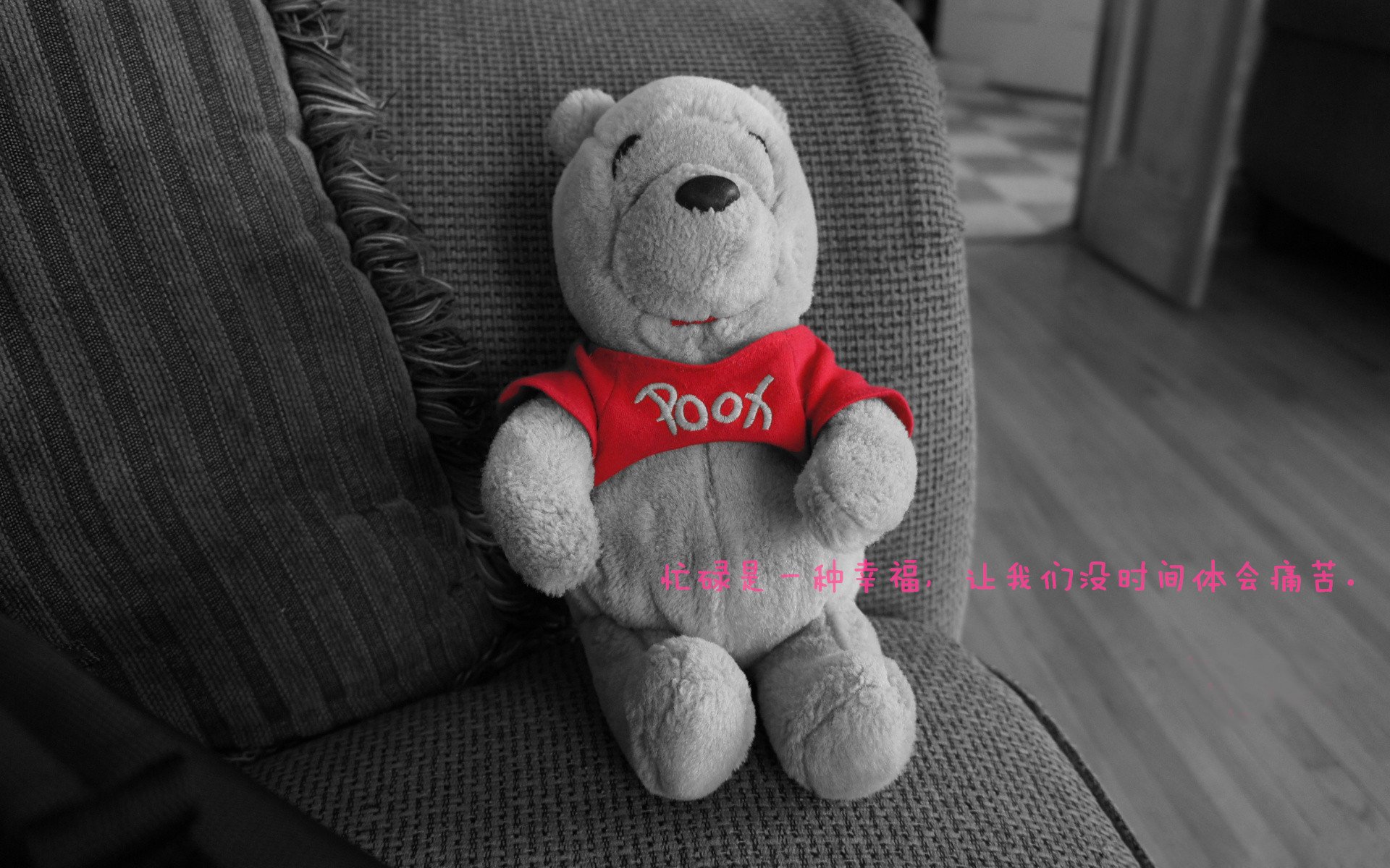 _遥控赛车比赛:科技与速度的完美结合_,遥控赛车技术