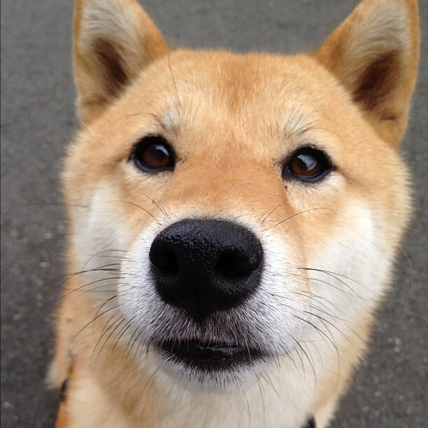 _青少年街舞大赛：年轻力量点亮舞台_，wdt青少年街舞锦标赛