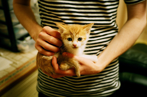 中国青少年篮球发展基金会启动“篮球梦想”公益项目,全国青少年篮球俱乐部比赛