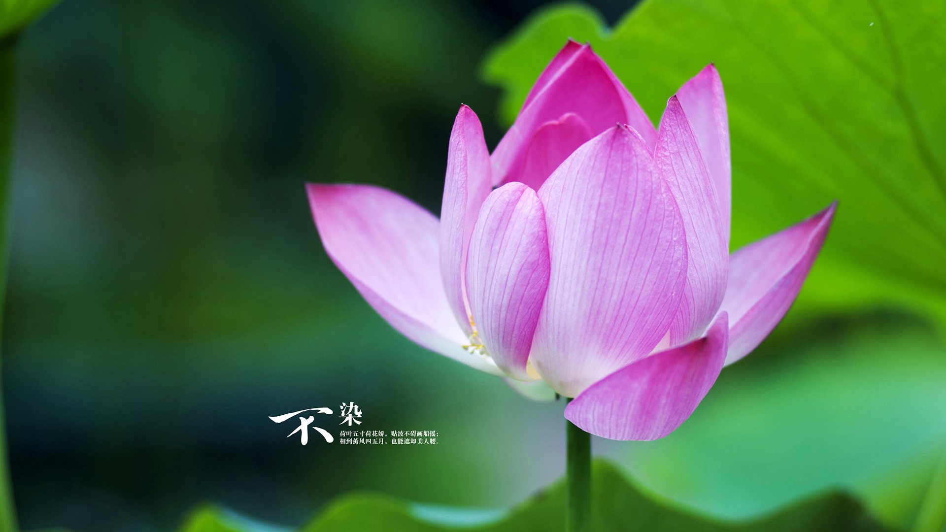 开云官方网站-基利安·海耶斯（Killian Hayes）为法国男篮备战巴黎奥运会，里约奥运法国男篮