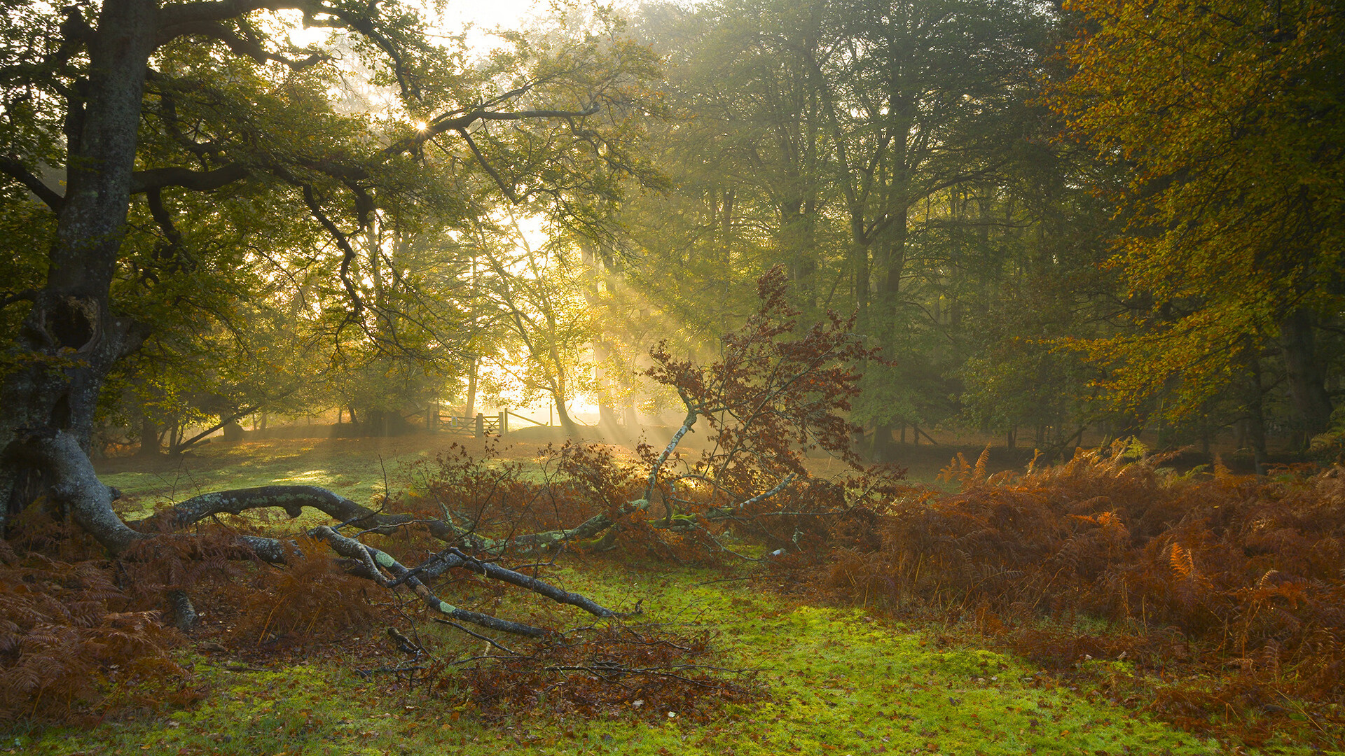 巴黎圣日耳曼豪取连胜,士气高昂,巴黎圣日耳曼mmn