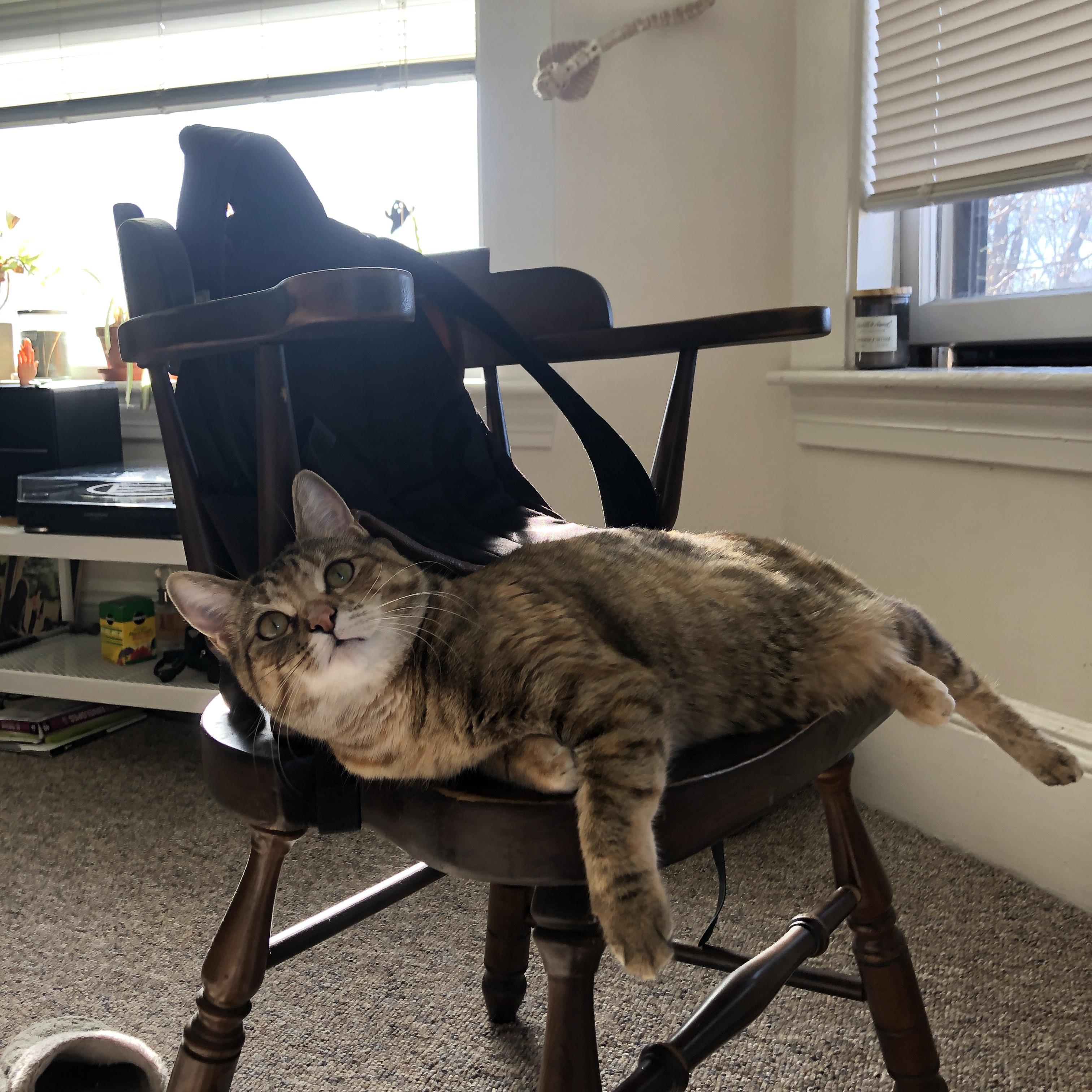 KAIYUN 中国大陆-水下足球盛典，海底世界的运动狂欢，水下足球介绍