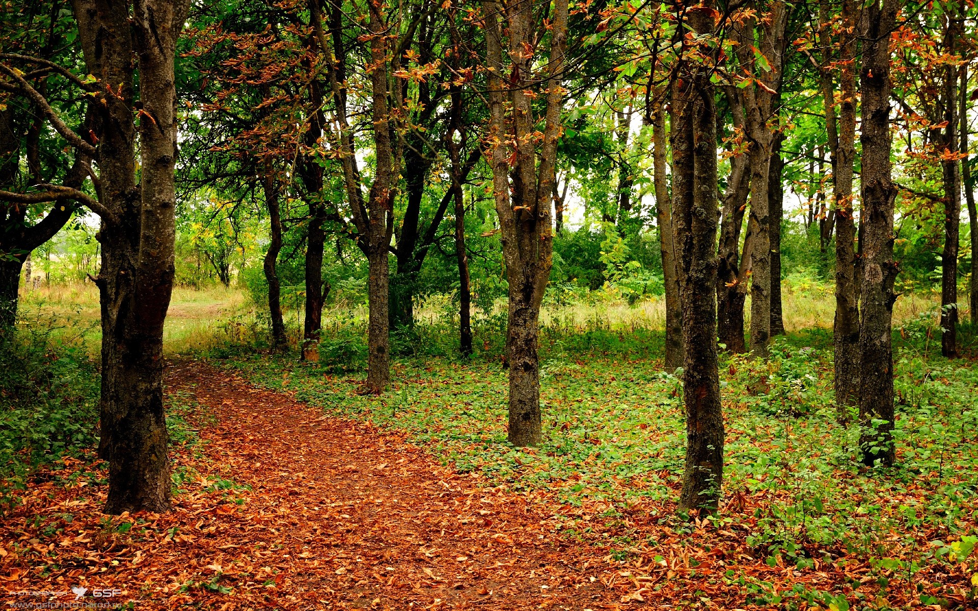 开云官方网页登录-Aster战术创新获好评，std战术ak