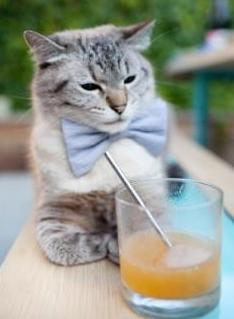 开云网站-AC米兰客场险胜都灵，积分紧追榜首，ac米兰联赛