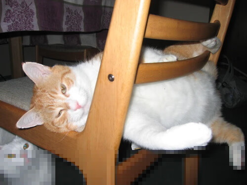 开拓者后卫利拉德四节分带队翻盘，开拓者利拉德什么时候复出