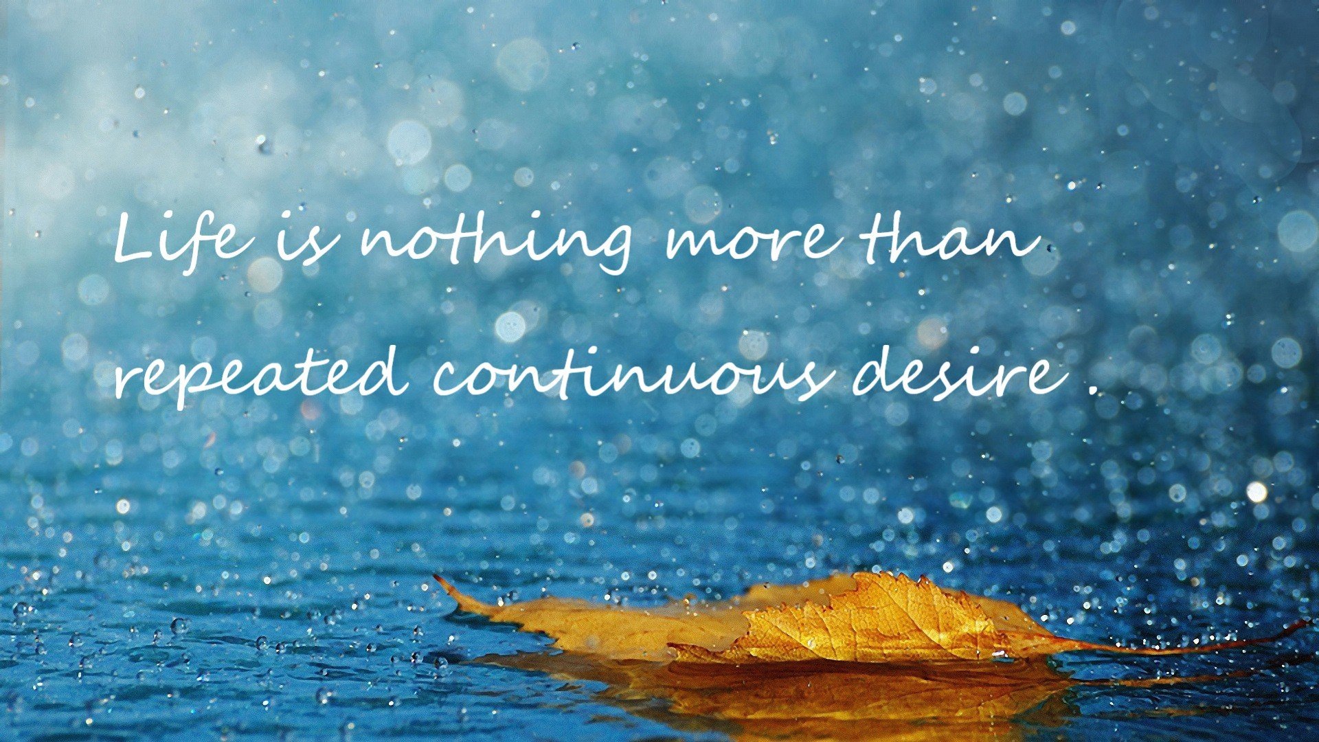 球员能否代表联盟参与公共事务对话，球队球员仅可以使用( )的号码