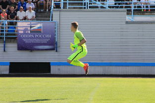 开云官方网页登录-中国足球门将扑救风格分类，中国足球门将扑救风格分类是什么