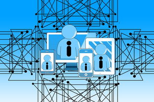 kaiyun登录入口-篮球专项技能课程创新与教学方法研究，篮球专项技术训练要点