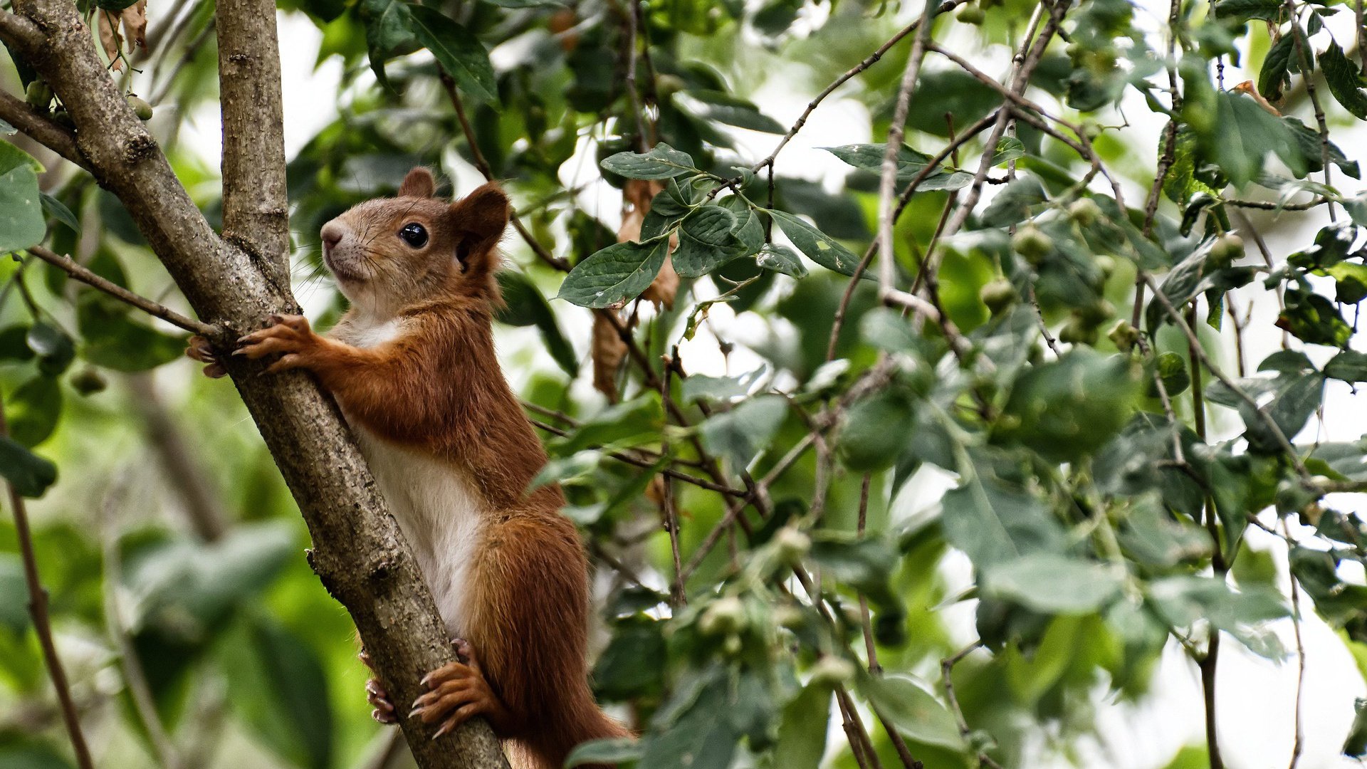 篮球专项技能课程创新与教学方法研究,篮球专项技术训练要点