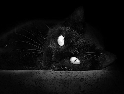 高校运动训练科学化管理平台开发,高校运动训练科学化管理平台开发与应用