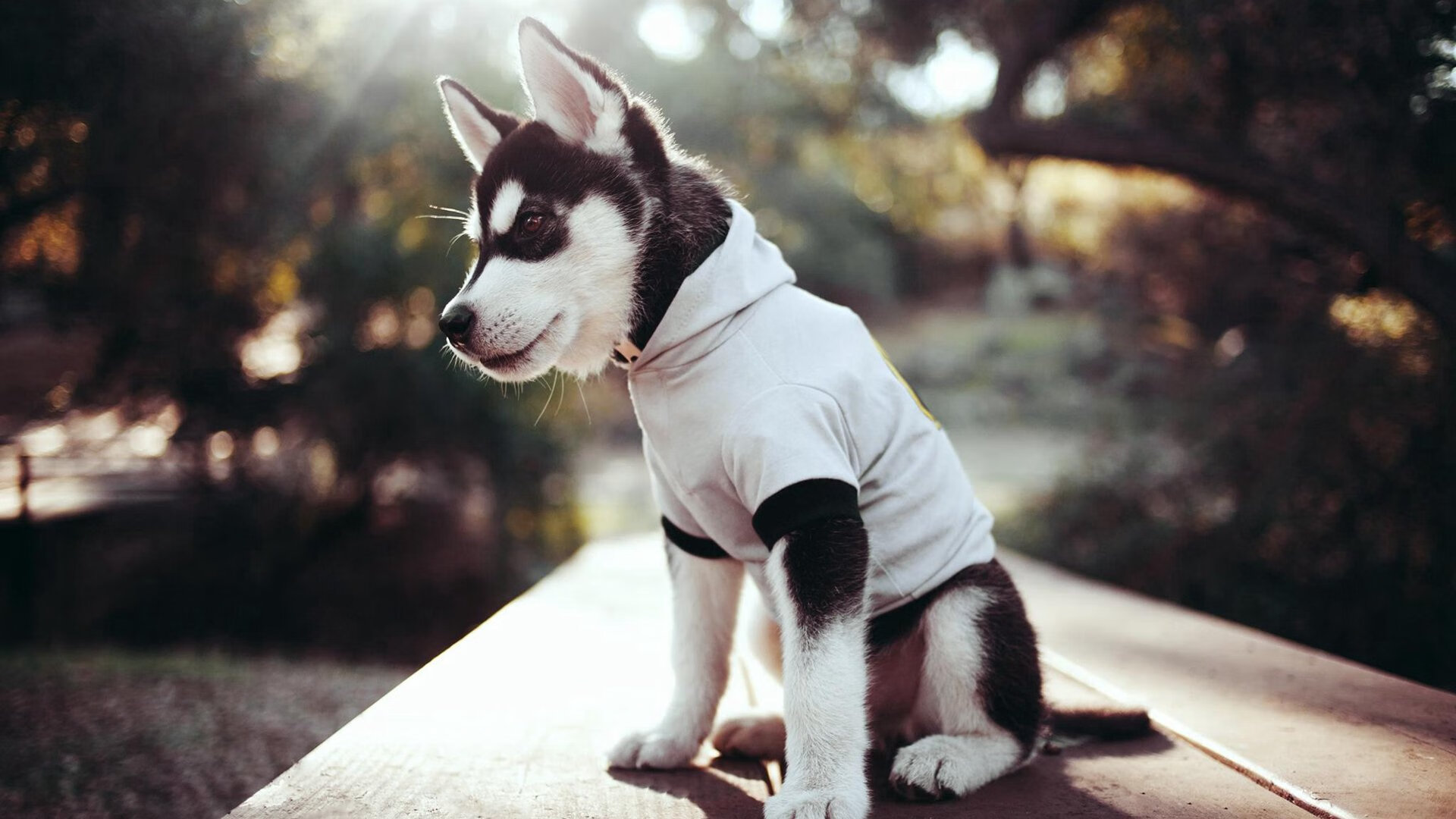 城市因赛而热,兴隆湖再塑文体融合新标杆,兴隆湖打造花了多少钱