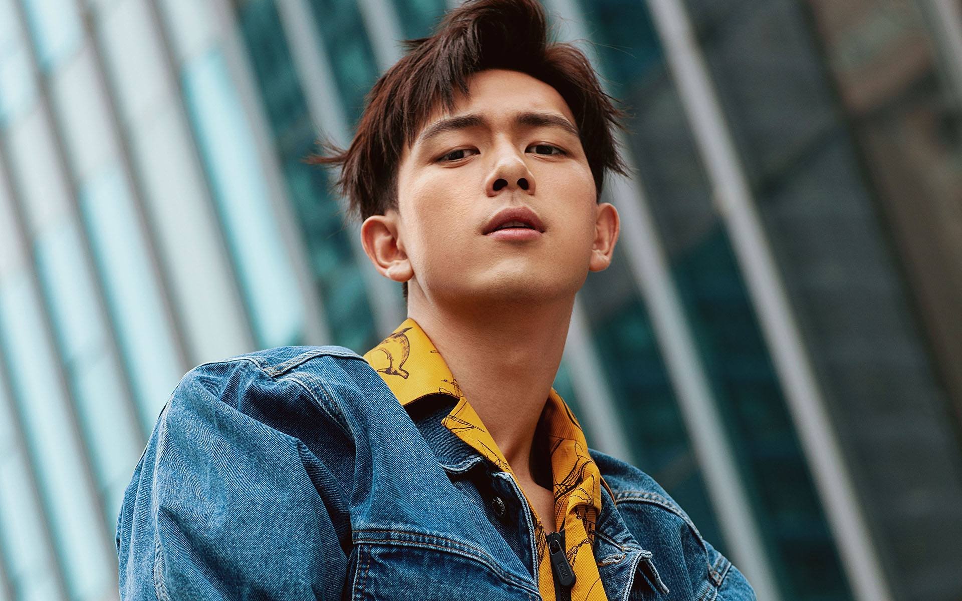 职业球员场上决策逻辑缺乏训练支撑,职业球员场上决策逻辑缺乏训练支撑是什么