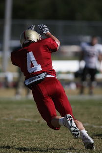 开云平台-CBA赛季转会期开放多支球队进行大规模阵容调整，cba转会动态2021