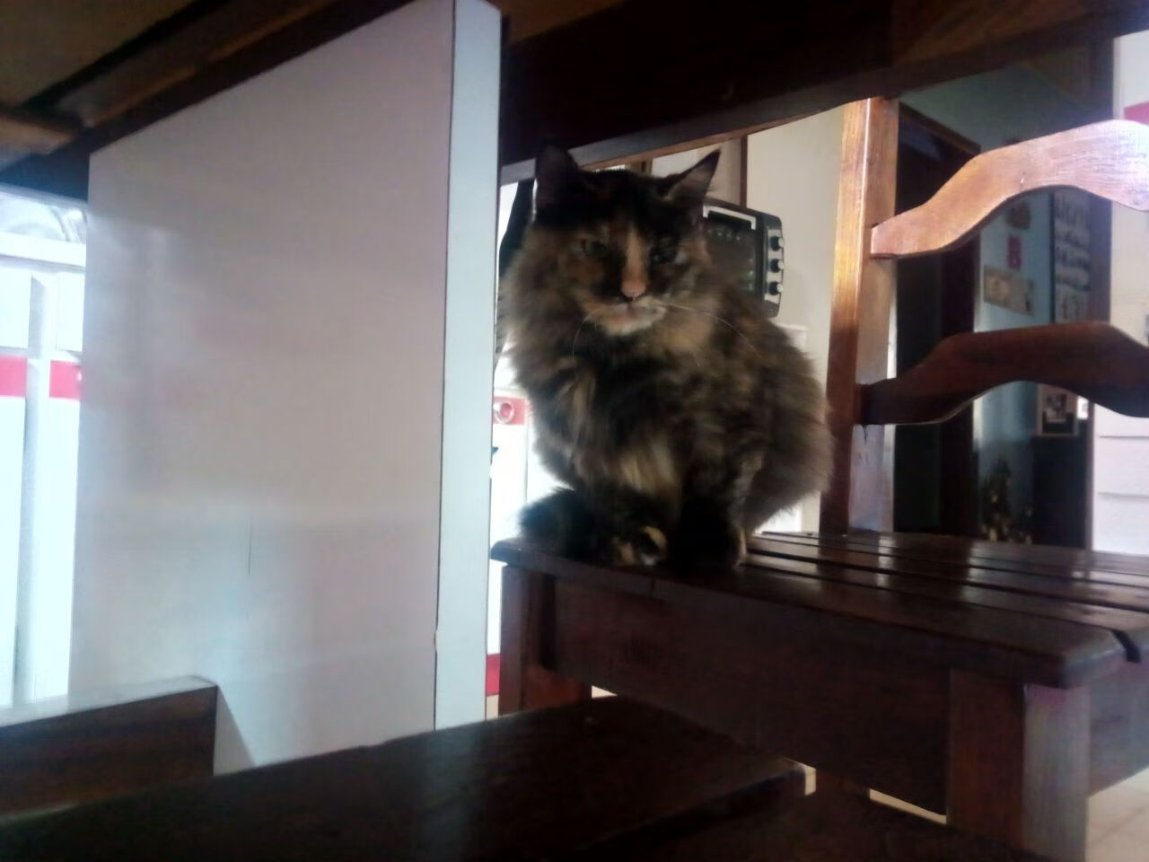 弗朗索瓦·斯图尔特:南非队的中场魔术师,关键传球成就得分机会