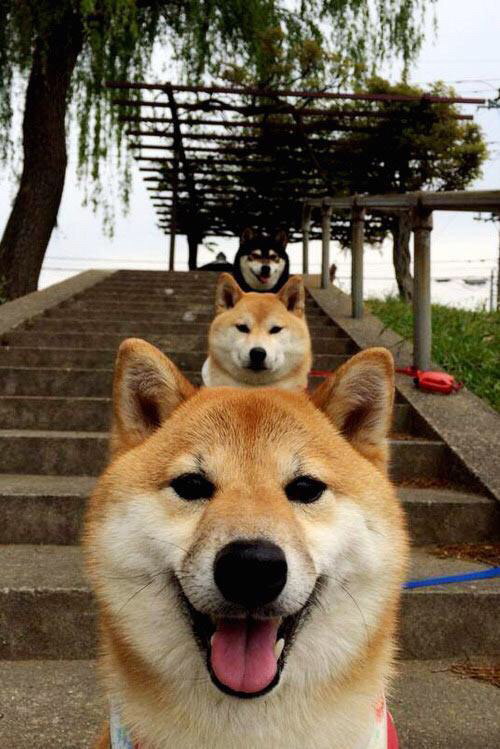 KAIYUN 中国大陆-意甲天王献技：精彩过人助攻点燃全场