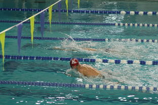 kaiyun中国官方网站-自由泳预赛突尼斯多人晋级，自由泳2021