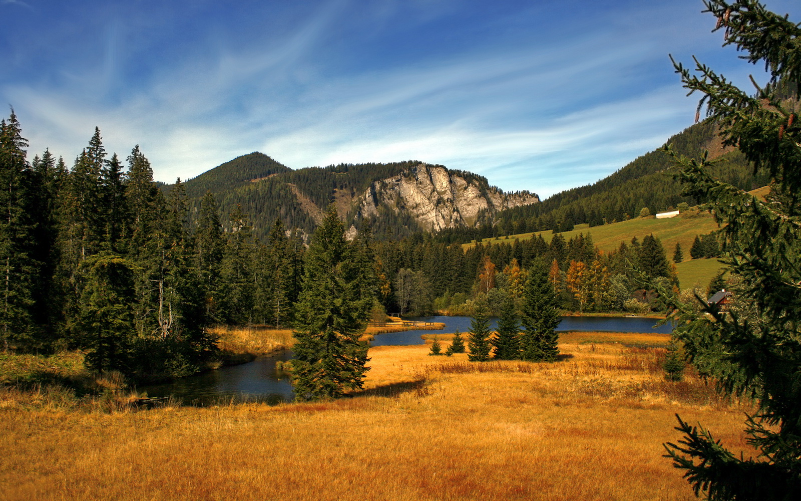 苏炳添发布自传记录奋斗故事,苏炳添励志故事简介
