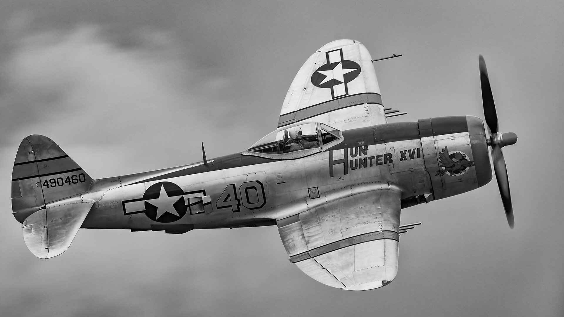 鹈鹕组织球队内部对抗提升实战感觉,鹈鹕队中文网